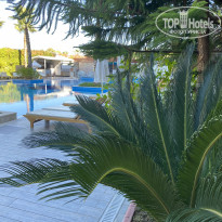 фото из отзыва ID 2312728