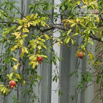 фото из отзыва ID 2312738