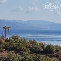 фото из отзыва ID 2312738