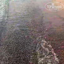 фото из отзыва ID 2312786