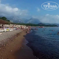 фото из отзыва ID 2312786