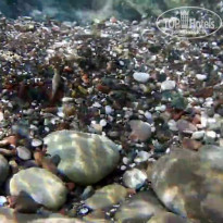 фото из отзыва ID 2312786