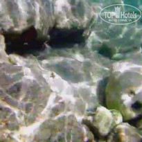 фото из отзыва ID 2312786