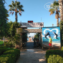 фото из отзыва ID 2312834