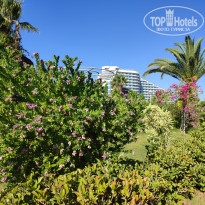 фото из отзыва ID 2312902