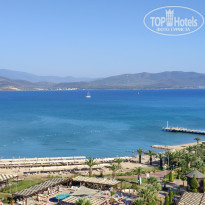 фото из отзыва ID 2312902