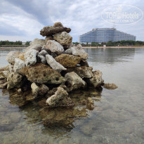 фото из отзыва ID 2312902