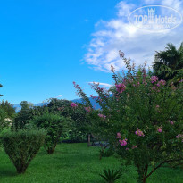 фото из отзыва ID 2312895