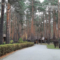 фото из отзыва ID 2312951