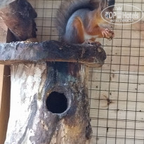 фото из отзыва ID 2312951