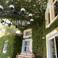 фото из отзыва ID 2313131