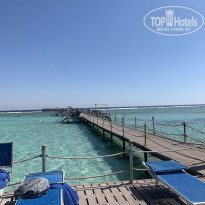 фото из отзыва ID 2313291