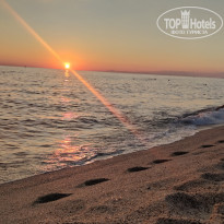 фото из отзыва ID 2312250