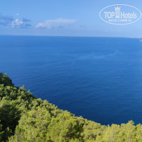 фото из отзыва ID 2312250