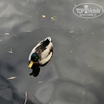 фото из отзыва ID 2313307