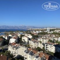 фото из отзыва ID 2313387