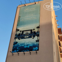 фото из отзыва ID 2313333