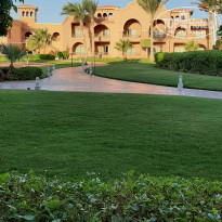 фото из отзыва ID 2313425