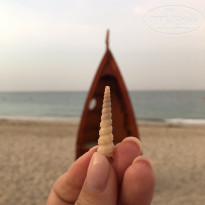 фото из отзыва ID 2313445