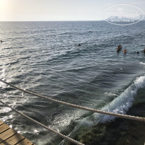 фото из отзыва ID 2313475