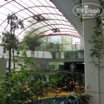 фото из отзыва ID 2313529