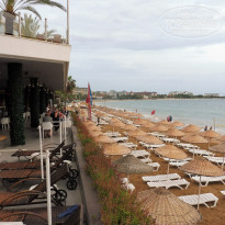 фото из отзыва ID 2313529