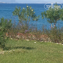 фото из отзыва ID 2313549