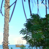 фото из отзыва ID 2313549