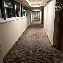 фото из отзыва ID 2313587