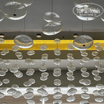 фото из отзыва ID 2313739