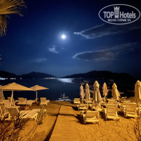 фото из отзыва ID 2313739