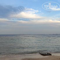 фото из отзыва ID 2313970