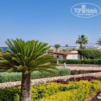 фото из отзыва ID 2313970