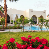 фото из отзыва ID 2314013