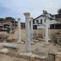 фото из отзыва ID 2314044