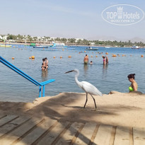 фото из отзыва ID 2314200