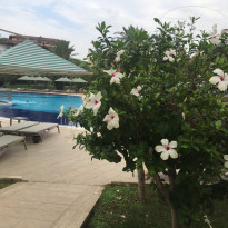 фото из отзыва ID 2314156