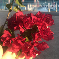 фото из отзыва ID 2314436