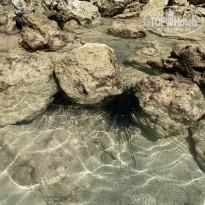 фото из отзыва ID 2314463