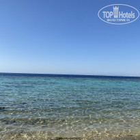 фото из отзыва ID 2314463