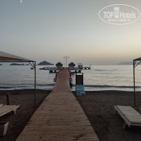 фото из отзыва ID 2312865