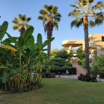 фото из отзыва ID 2312865