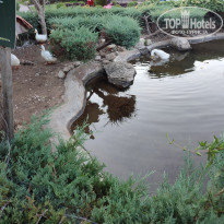 фото из отзыва ID 2312865