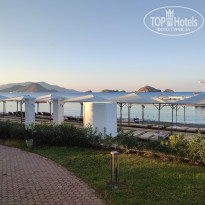 фото из отзыва ID 2312865