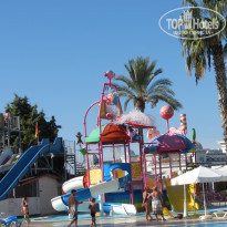 фото из отзыва ID 2314592