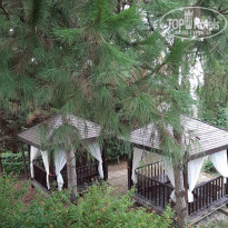 фото из отзыва ID 2314605