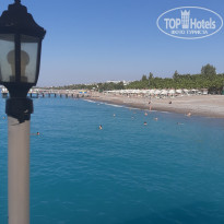 фото из отзыва ID 2314605