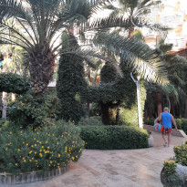 фото из отзыва ID 2314605