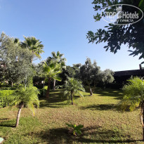 фото из отзыва ID 2314605