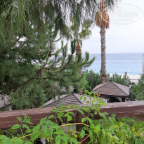 фото из отзыва ID 2314605